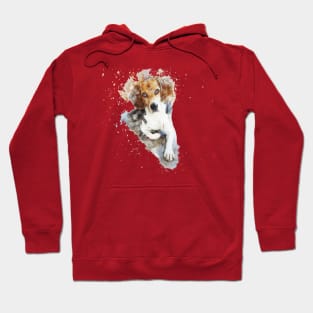 My dog ​​is beautiful Hoodie